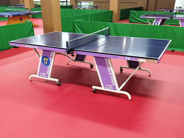 Xiamen Xinglin Sports and Sports Bureau Table Tennis Hall